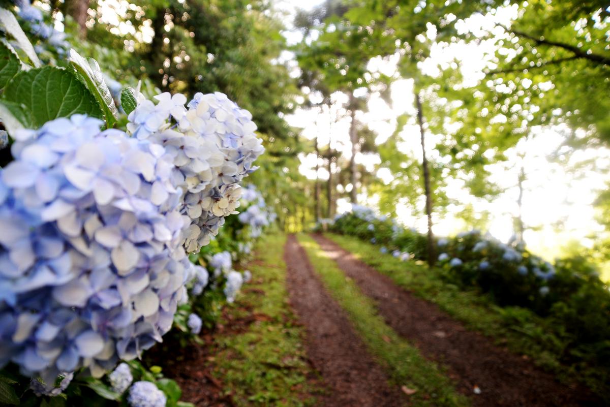 Vista panorâmica de Gramado com diversos imóveis turísticos ao entardecer, destacando a arquitetura única da região.
